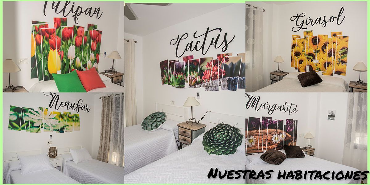 Galería de imágenes de La Yaya Casa Rural